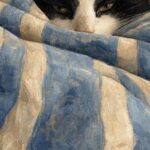Tuxedo Sleeping Cat Print